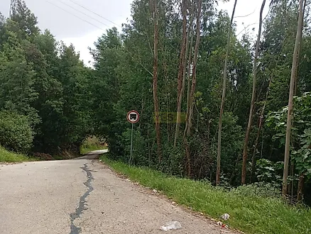 image-7cuznOnwpgU-0