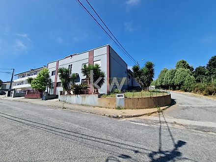 image-9zvCJ4C2X0i-0