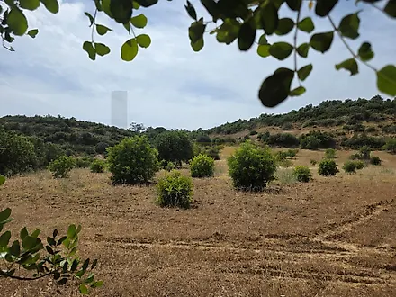 image-3794lR03pXo-0