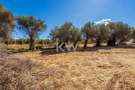 Terreno em Loulé