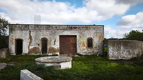image-dX3QKGOzvI-0