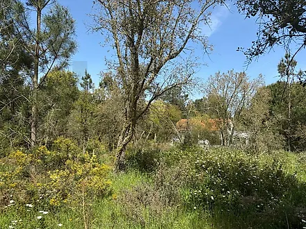 Land for sale in Benavente, Portugal — €125,000