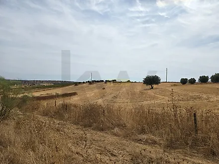 image-Gus1Cf636Cu-0