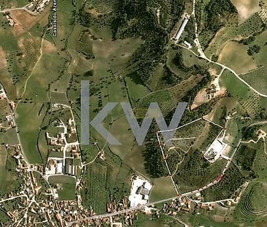 image-LK1StCaIV90-0