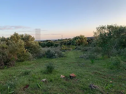 image-AXdmce66uPG-0