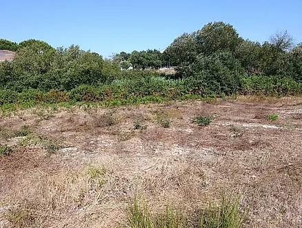 Land for sale in Sobral de Monte Agraço, Portugal — €295,000