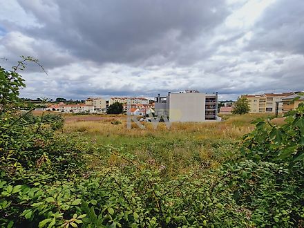 Land for sale in Cartaxo, Portugal — €1,000,000