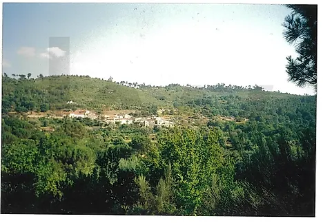 image-5lwgS2vQmBP-0