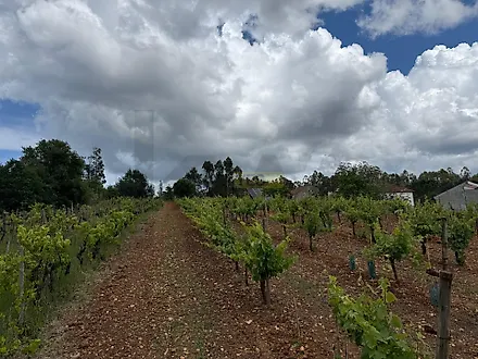 image-JLAIPu1AuUy-0