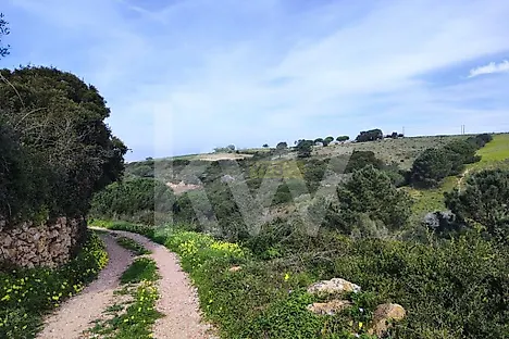 image-1ieaZ8Ua5pW-0
