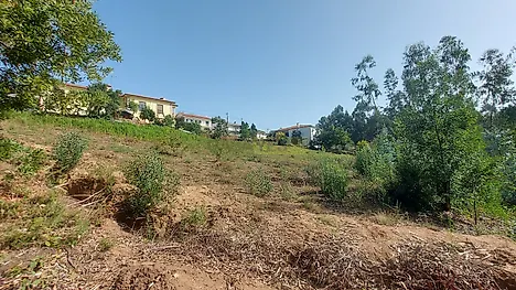 image-KITBifSNC1c-0