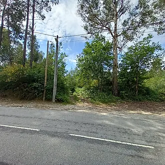 image-HvBUWaYLeIP-0
