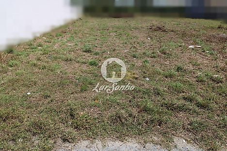 image-66cgnguyXxs-0