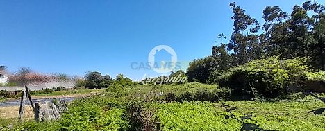 image-BYBS2dxoHPX-0