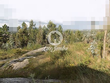 image-KtcOpxZGZts-0