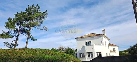 image-AJUxDL41027-0