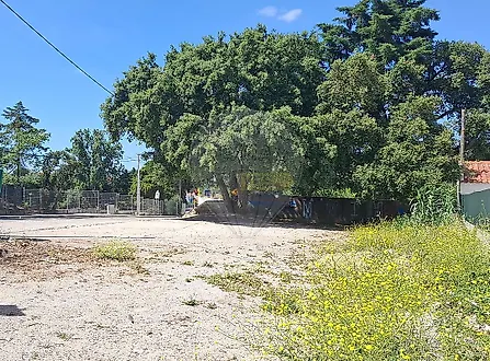 image-CS7hGaArrUd-0