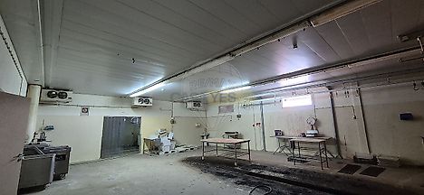 image-2W5B81ulQnS-0