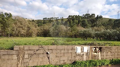 Terreno em Porto de Mós