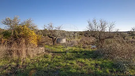 image-6ONwduX1fYQ-0