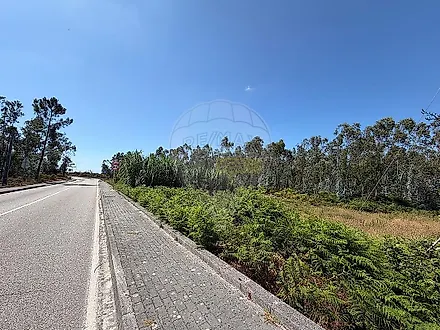 image-6TrfmYwftDj-0