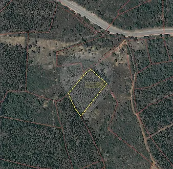 image-70AuR1XOXnz-0