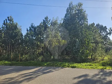 image-8VDIkocvLAH-0