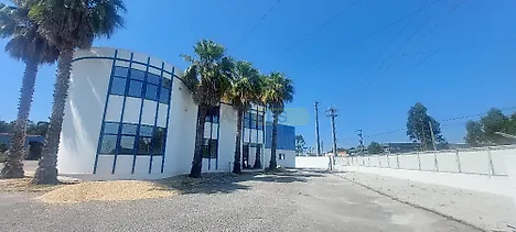image-1TivpAx386G-0