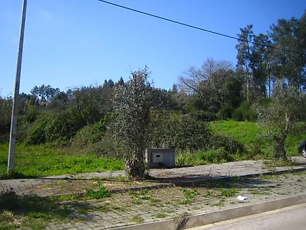 image-2uQlFhbmZGo-0