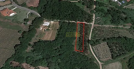 listing-JcJV6W5hNk7