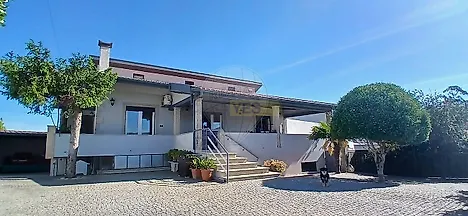 image-Fp6HZoadl1A-0