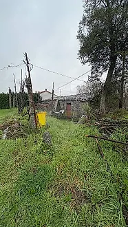image-K6xk5MmrDHO-0