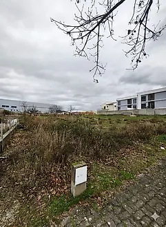image-CiZOiJHtAF8-0