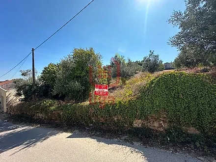 image-BGfa3iuqUQn-0
