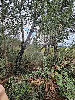 image-KsxZNge4Mx-0