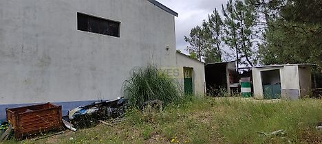 image-BX26vwJPFL4-0