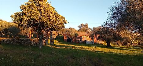 image-CvH4Sz8dIz8-0