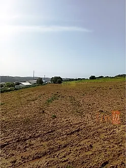 Land for sale in Mafra, Portugal — €99,500