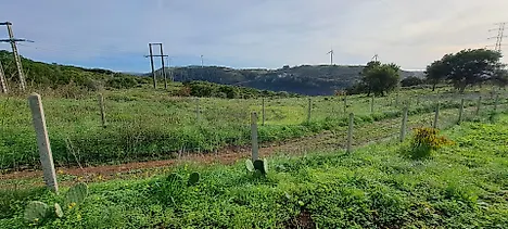image-7XtdyU7A2Ha-0