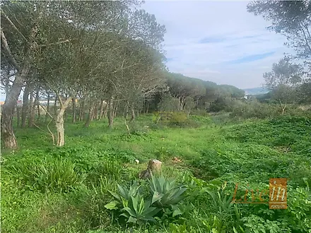 Land for sale in Sintra, Portugal — €360,000