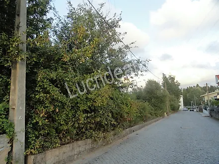 image-F4Rir19hIam-0