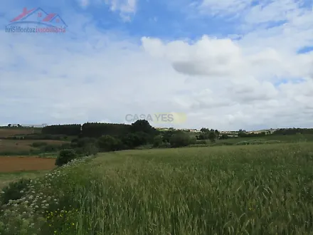 image-HZKaivYB22q-0