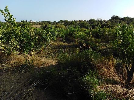 image-JRibepDCoxi-0