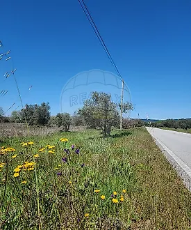 image-1BPvbJAq5Rk-0