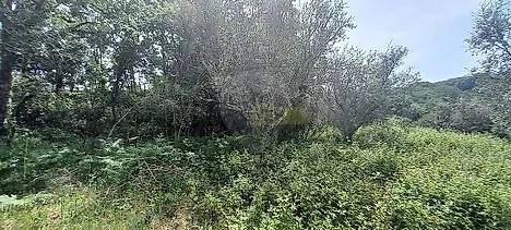 image-8S5USaxNQXS-0