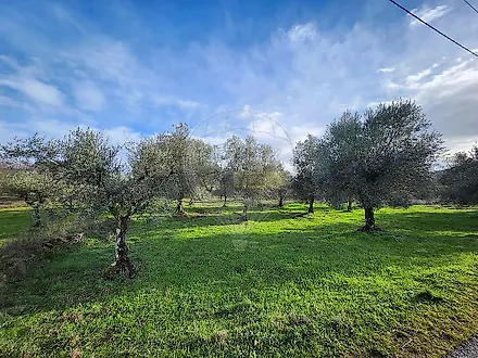 image-90Tyln7hQ6j-0