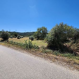 image-ACqszI1ZAz7-0