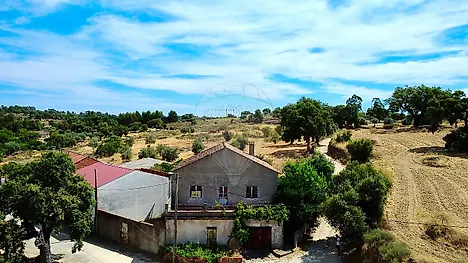 image-AnPu9kEFSQv-0