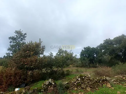 image-BpOzzuEzcz9-0