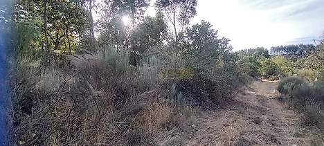 image-J6wJfs10ji7-0